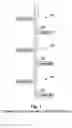 Fig. 02 - Downhole apparatus for disrupting filter cake