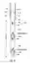 Fig. 15 - Downhole apparatus for disrupting filter cake