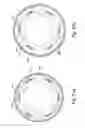 Fig. 22 - Downhole apparatus