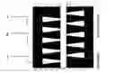Fig. 01 - Methods for processing production formations by helicoid perforation