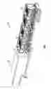 Fig. 04 - DUAL SHAFT MOTOR FRACTURING MODULE