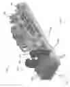 Fig. 11 - DUAL SHAFT MOTOR FRACTURING MODULE
