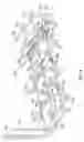 Fig. 08 - Diagnostic lateral wellbores and methods of use