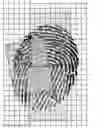 Fig. 01 - Methods of storing a set of biometric data templates and of matching biometrics, biometric matching apparatus and computer program
