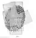 Fig. 07 - Methods of storing a set of biometric data templates and of matching biometrics, biometric matching apparatus and computer program