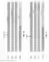 Fig. 08 - REDUCED COMPUTATIONAL COMPLEXITY FOR FIXED POINT NEURAL NETWORK