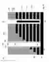 Fig. 20 - Three dimensional memory device having well contact pillar and method of making thereof
