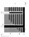 Fig. 24 - Three dimensional memory device having well contact pillar and method of making thereof