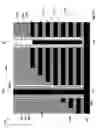 Fig. 28 - Three dimensional memory device having well contact pillar and method of making thereof