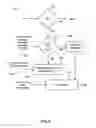 Fig. 08 - Method and apparatus for channel state information (CSI) reporting