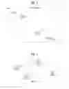 Fig. 02 - Method and device for shifting state of NAN terminal in wireless communication system