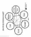 Fig. 07 - PALATE CLEANSING BEVERAGE AND METHOD OF MAKING AND USING THE SAME