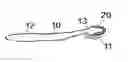 Fig. 01 - TOOTHBRUSH WITH TONGUE CLEANER