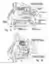 Fig. 02 - Devices for therapeutic nasal neuromodulation and associated methods and systems