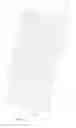 Fig. 49 - BIOABSORBABLE POLYMERIC MEDICAL DEVICE