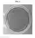 Fig. 02 - COSMETICS COMPRISING COSMETIC COMPOSITION HAVING ULTRAVIOLET BLOCKING FUNCTION IMPREGNATED IN WATER INSOLUBLE SPONGE