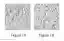 Fig. 02 - Methods And Compositions For Modifying Sensorial Perception