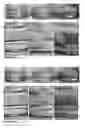 Fig. 08 - Process for reconstitution of a solid form of a pharmaceutical composition