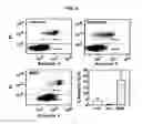 Fig. 06 - Methods of regulating cannabinoid receptor activity-related disorders and diseases