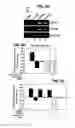 Fig. 07 - Methods of regulating cannabinoid receptor activity-related disorders and diseases