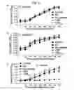 Fig. 03 - Selectively targeted antimicrobial peptides and the use thereof