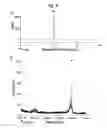 Fig. 07 - Selectively targeted antimicrobial peptides and the use thereof