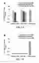 Fig. 06 - COMPOSITIONS OF NUCLEIC ACID-CONTAINING NANOPARTICLES FOR IN VIVO DELIVERY