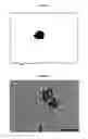 Fig. 02 - Magnetic nanoparticles functionalized with catechol, production and use thereof
