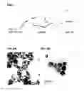 Fig. 02 - Light adjustable intraocular lenses using upconverting nanoparticles and near infrared (NIR) light