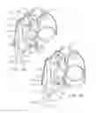 Fig. 08 - Personal height rescue apparatus