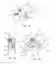 Fig. 11 - Personal height rescue apparatus