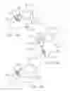 Fig. 15 - Personal height rescue apparatus