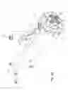 Fig. 14 - Utility vehicle