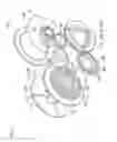 Fig. 07 - Film transfer tool
