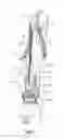 Fig. 08 - Double jib slewing pedestal crane