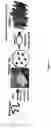 Fig. 02 - Block copolymer nanostructures formed by disturbed self-assembly and uses thereof