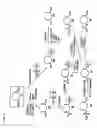 Fig. 05 - Photochromic compounds