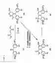 Fig. 06 - Photochromic compounds