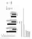 Fig. 06 - Read-through compound prodrugs suppressing premature nonsense mutations