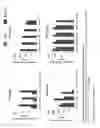 Fig. 14 - Read-through compound prodrugs suppressing premature nonsense mutations