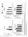 Fig. 19 - Read-through compound prodrugs suppressing premature nonsense mutations