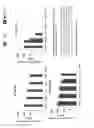Fig. 20 - Read-through compound prodrugs suppressing premature nonsense mutations