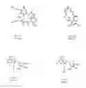 Fig. 02 - Small-molecule Hsp90 inhibitors