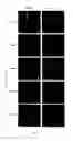 Fig. 02 - O-phenyl chalcone compounds and preparation method and use thereof
