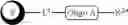 Fig. 08 - Preparation of Oligo Conjugates