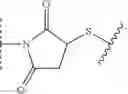 Fig. 117 - Preparation of Oligo Conjugates