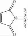 Fig. 119 - Preparation of Oligo Conjugates