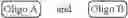 Fig. 12 - Preparation of Oligo Conjugates