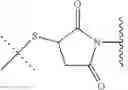 Fig. 149 - Preparation of Oligo Conjugates