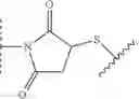 Fig. 17 - Preparation of Oligo Conjugates